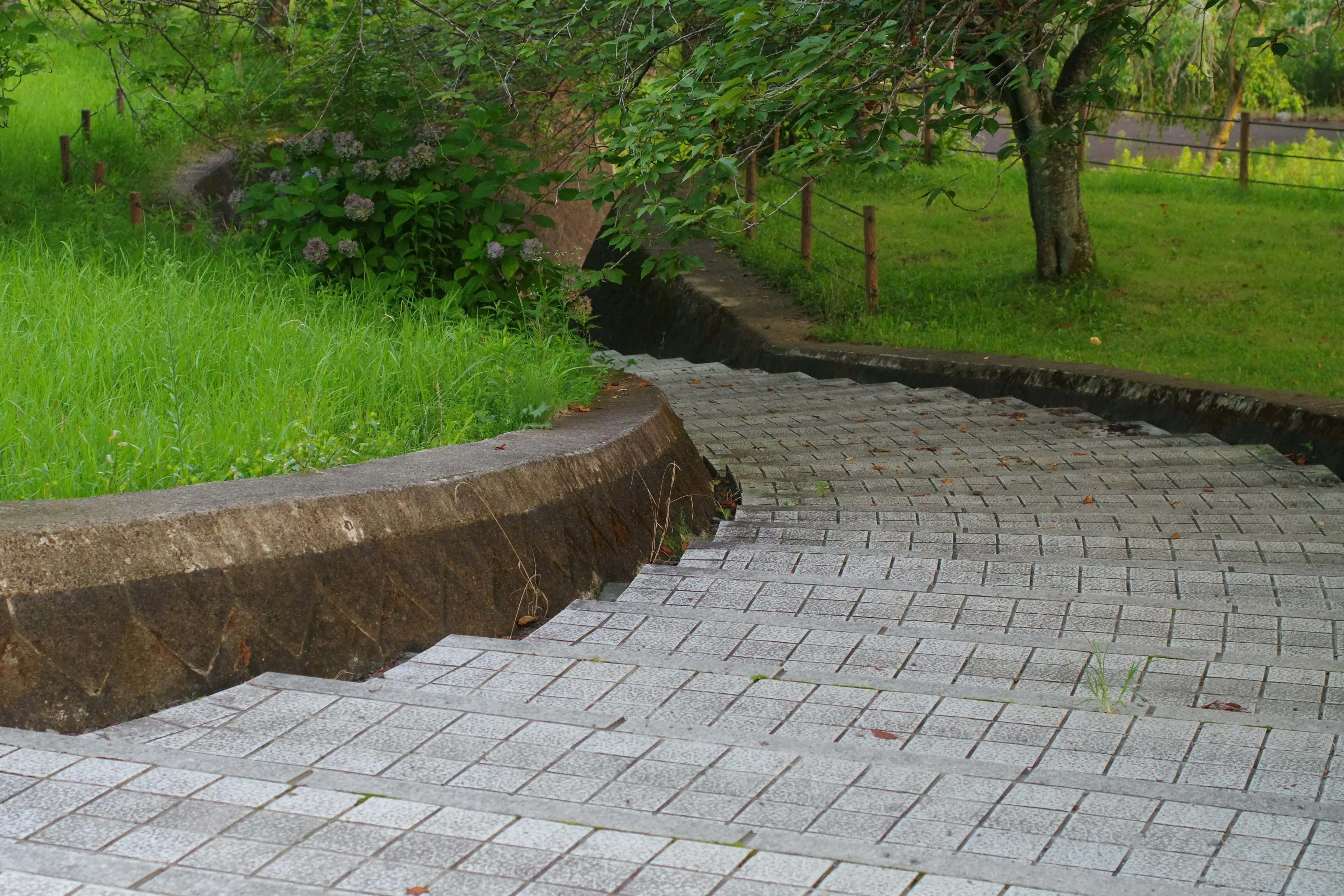 Concrete Curbing