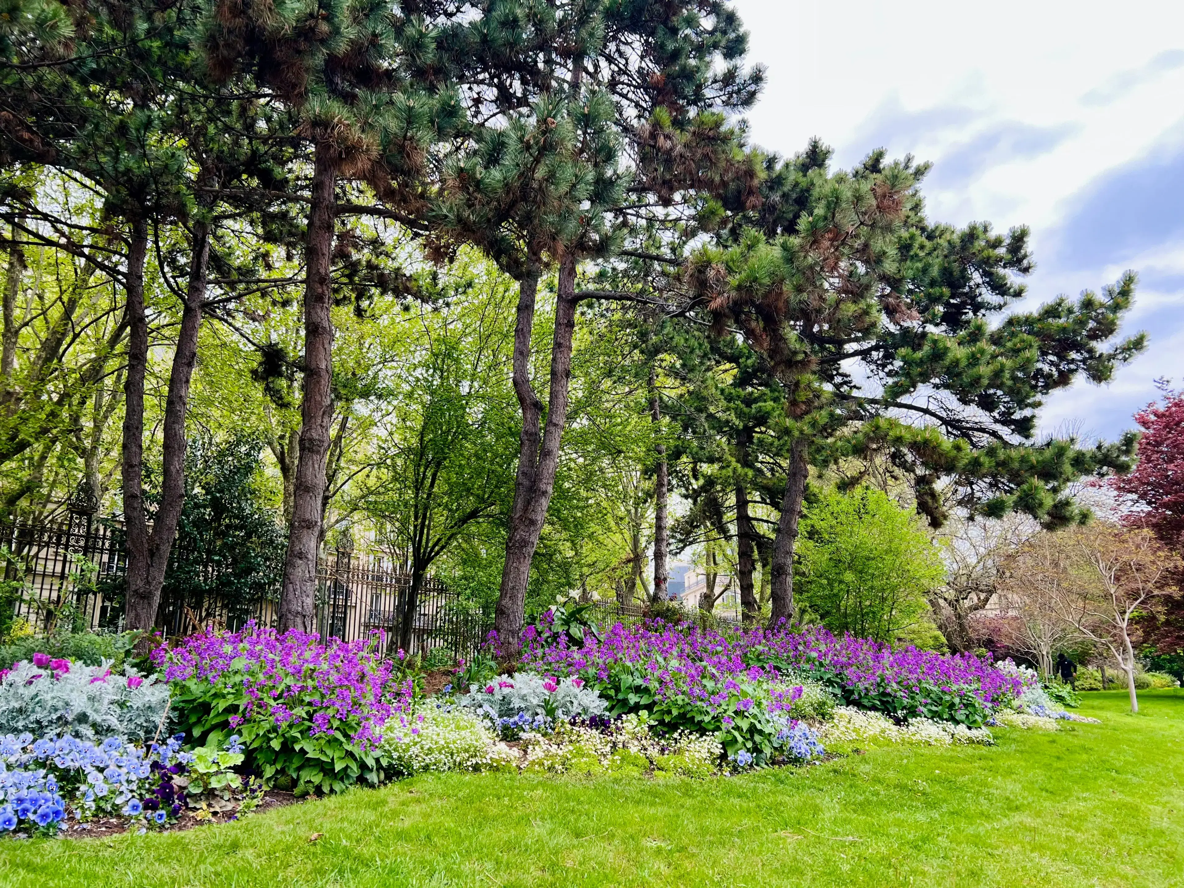 Spring Clean-Up Services